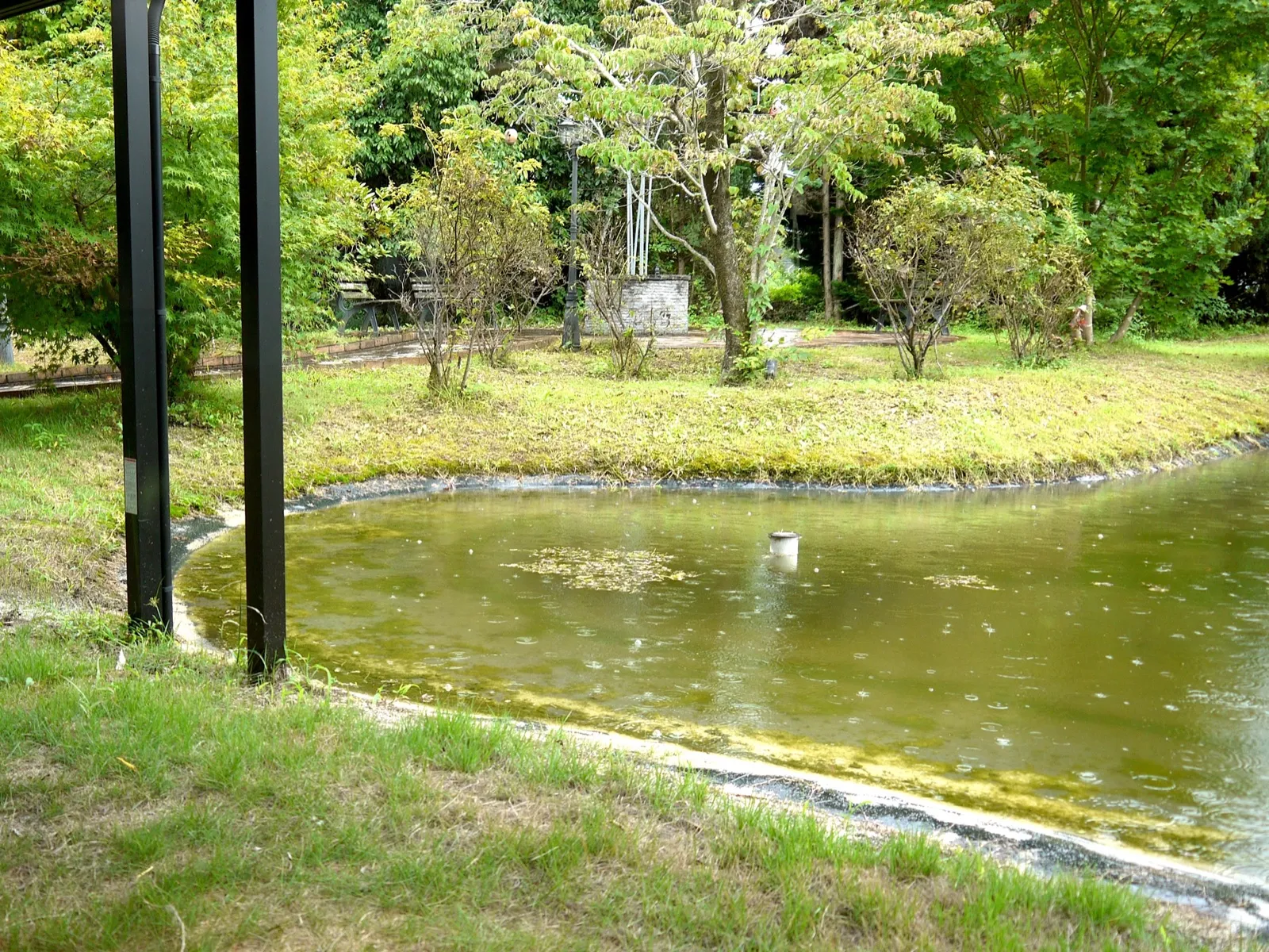 庭園