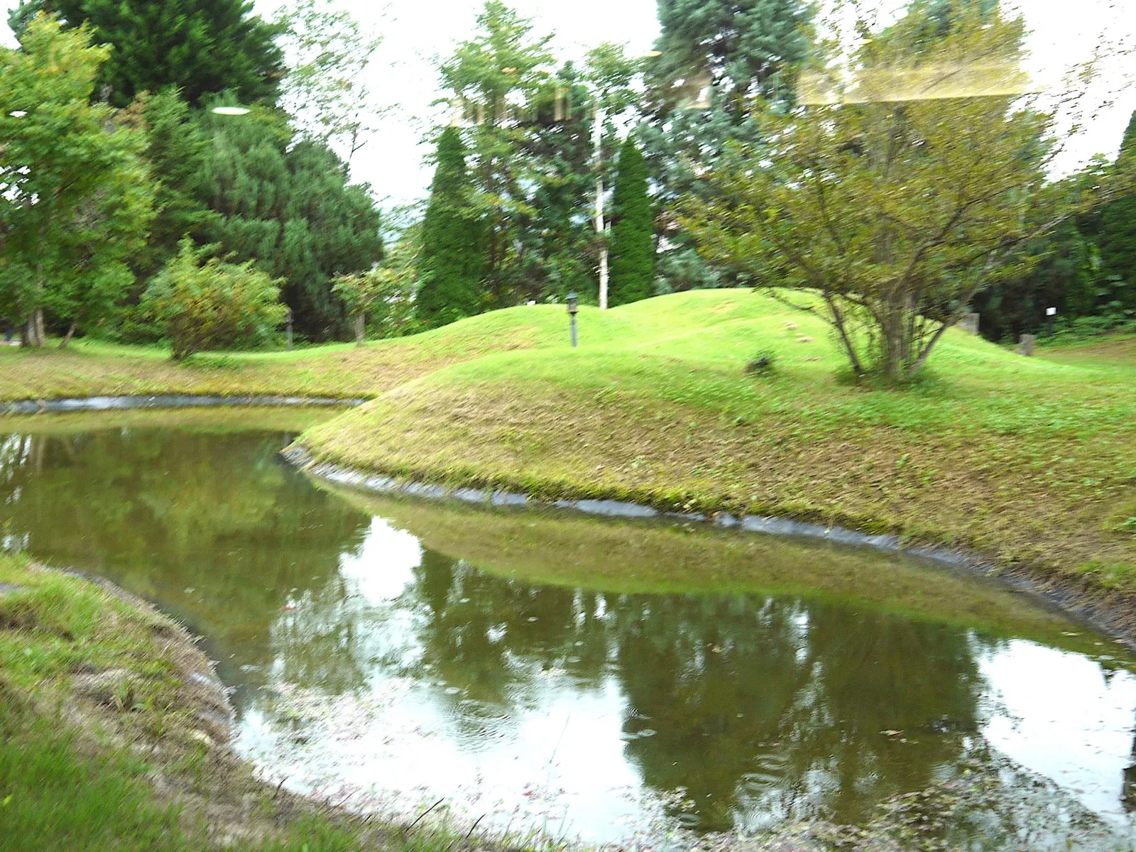 庭園の池